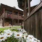 Lavanda 3* Kovacsevica