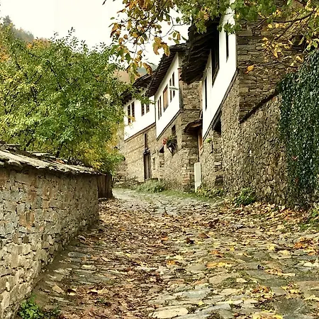 Panzió Lavanda