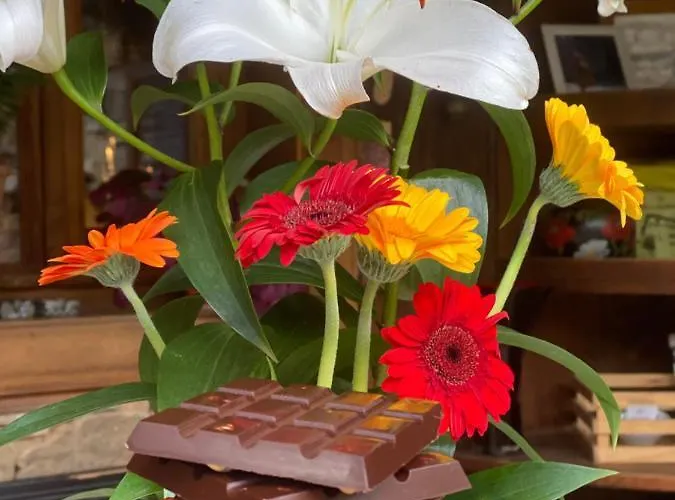 Bed & Breakfast Lavanda