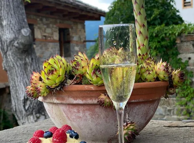 Bed & Breakfast Lavanda