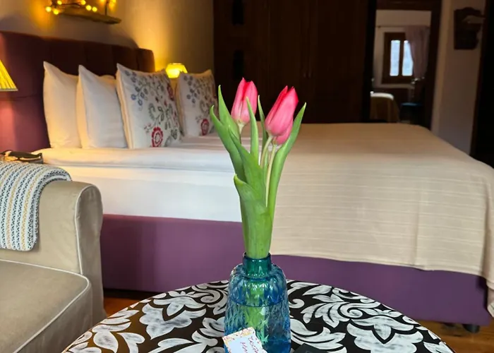 Bed & Breakfast Lavanda