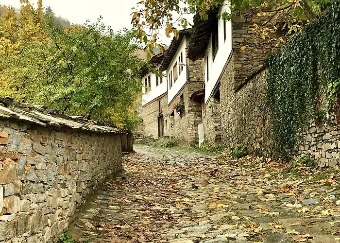 Bed & Breakfast Lavanda